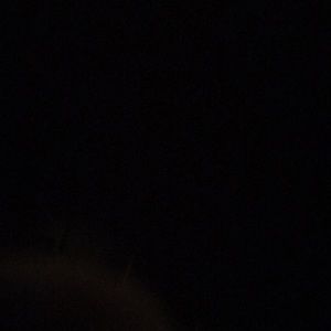 Meet your Posher, Dwight